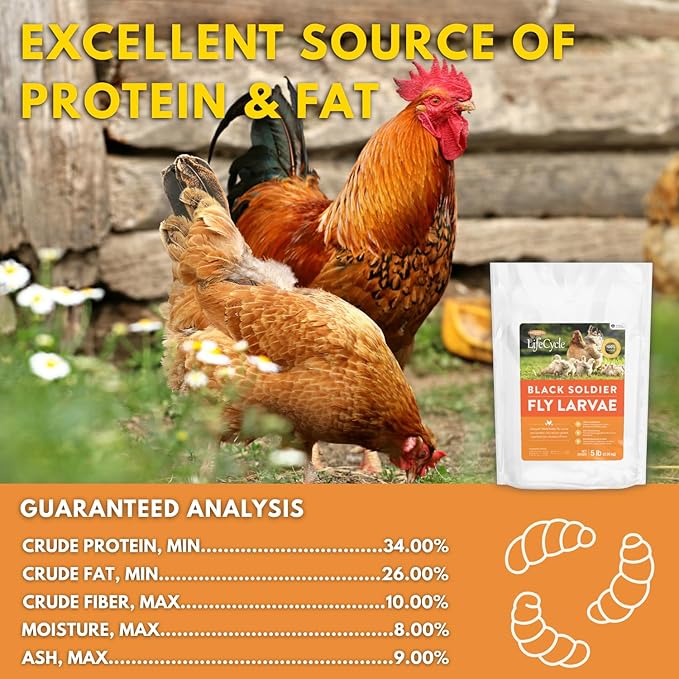 Black Soldier Fly Larvae Chicken Treats, Mealworms Substitute, Grubs for Chickens, High Calcium for Laying Hens, Made in USA (5 lbs)