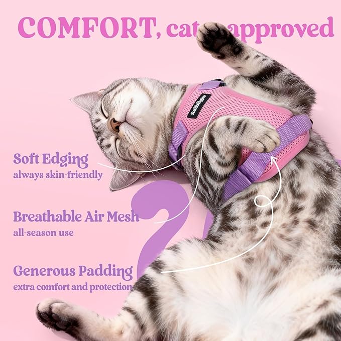 rabbitgoo Cat Harness and Leash for Walking, Escape Proof Soft Adjustable Vest Harnesses for Cats, Easy Control Breathable Reflective Strips Jacket, Pink & Purple, XS