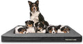 The Dog’s Bed Orthopedic Memory Foam Dog Bed Mattress, PlushFabric, Grey Plush, XXXL, 4-Inch