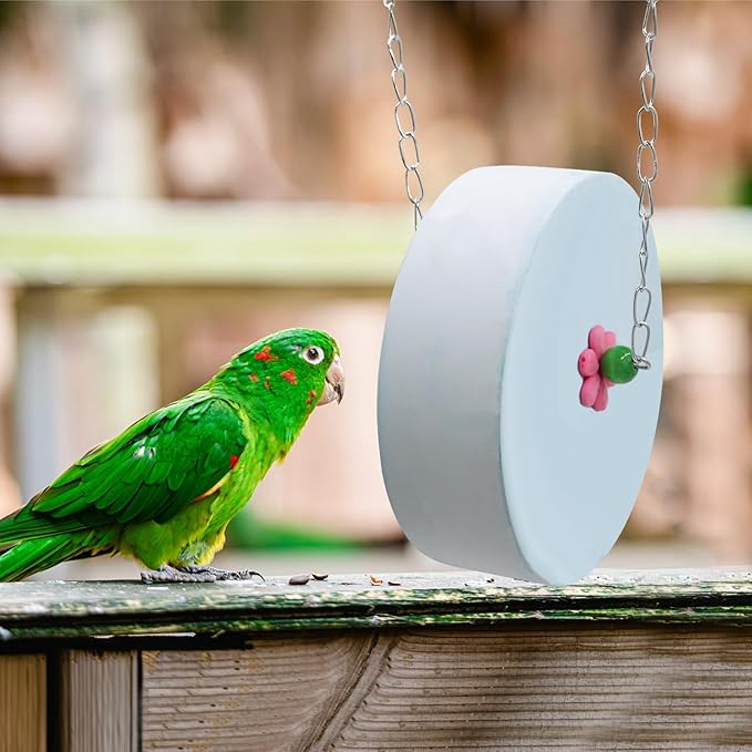 Bird Beak Grinding Stone – Large Cylinder Parrot Chew Toy with Metal Hanging Chain – Cage Accessory for Macaws, African Greys, Cockatiels & Medium to Large Birds Blue