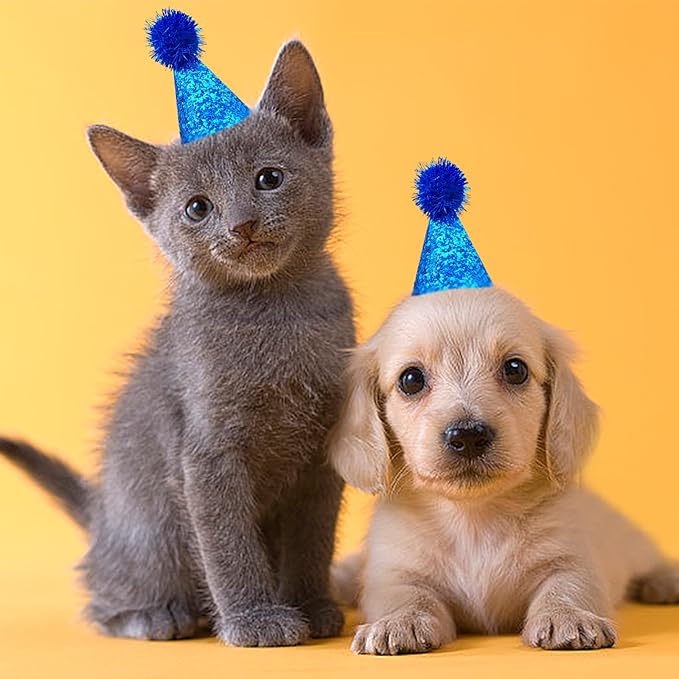 PET SHOW 10pcs Mini Small Dog Hats Cat Birthday Party Hat Rabbit Hats for Holiday Wedding Puppies Kittens Costume Accessories