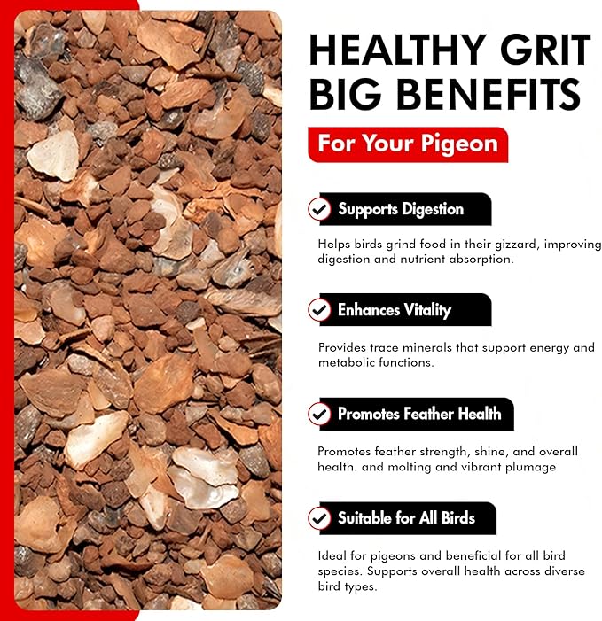 Morning Bird Pigeon Grit - Healthy & Nutritious Pigeon Food to Support Strong Muscles & Bones for Grit Eating Birds - Supports Digestion & Packed with Essential Minerals 9 lbs