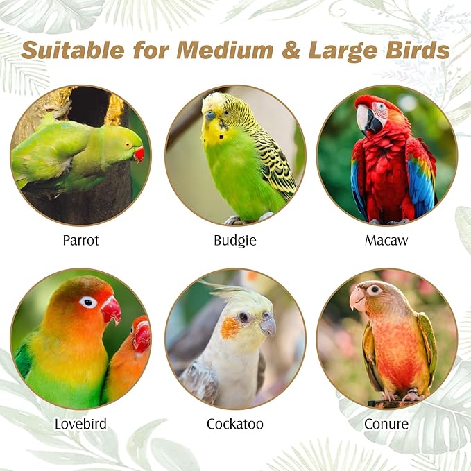 PINVNBY Natural Parrot Perch Grape Wood Bird Stand Pole Parakeet Paw Grinding Fork Chewable Climbing Branches Toy Bird Cage Accessories for Budgies Conures Cockatiels Lovebirds (2 PCS, 7.9IN)
