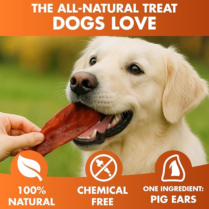 BRUTUS & BARNABY Pig Ear Halves for Dogs, 15 Ct. – All-Natural Single Ingredient Dog Chews, Slow Cooked & Fully Digestible Rawhide Alternative
