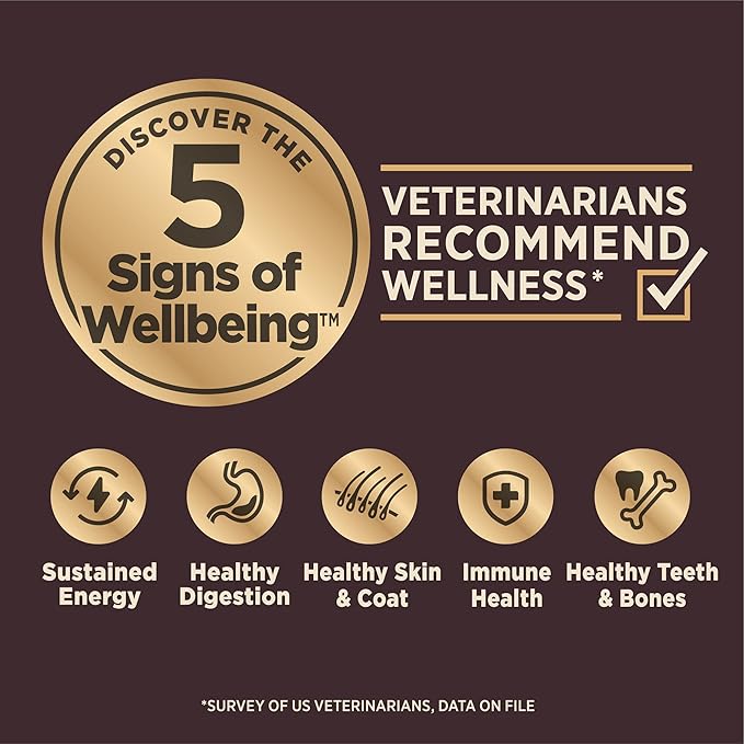 Wellness CORE Digestive Health Adult Dry Dog Food, Wholesome Grain Kibble, Sensitive Stomach, Natural, High Protein, Chicken Recipe, 4 lb Bag
