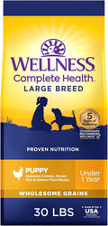 Wellness Complete Health Large Breed Adult Dry Dog Food, Wholesome Grain Kibble, Natural, Chicken, Brown Rice and Salmon Meal Recipe, 30 lb Bag