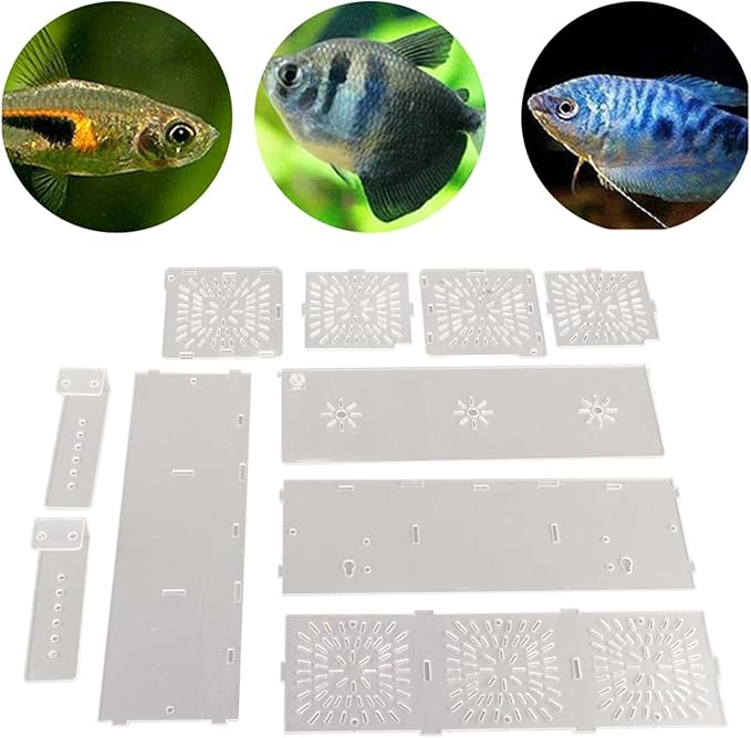 Fish Isolation Box, Transparent Aquarium Hatchery Incubator Holder, for Fish Breeding, Isolation of Big and Baby Fish, Comes with Isolation Board (30CM*10CM*10CM)
