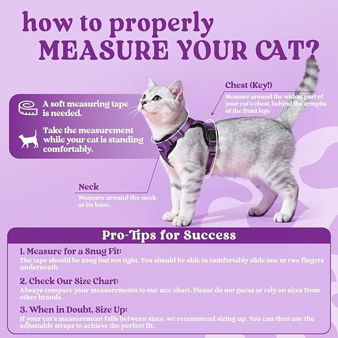 rabbitgoo Cat Harness and Leash for Walking, Escape Proof Soft Adjustable Vest Harnesses for Cats, Easy Control Breathable Reflective Strips Jacket, Purple, XS