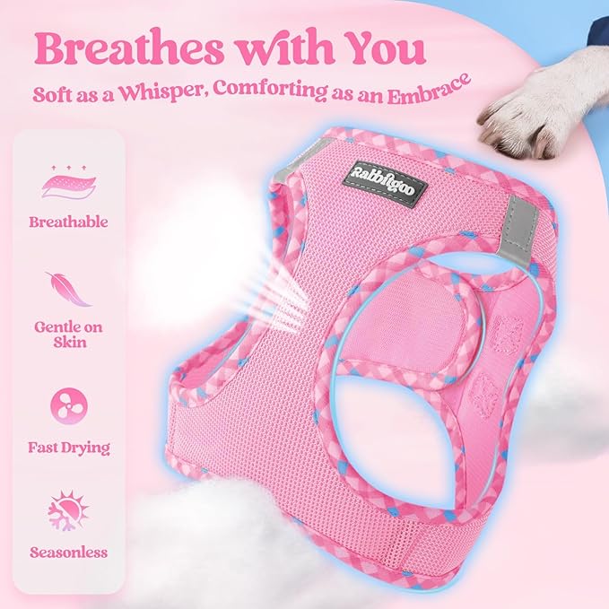 rabbitgoo Dog Harness Small Sized and Leash Set, Step in Soft Light Puppy Vest, Breathable Mesh Pet Harness, Reflective for Safe Easy Walking, Pink & Plaid Trim M