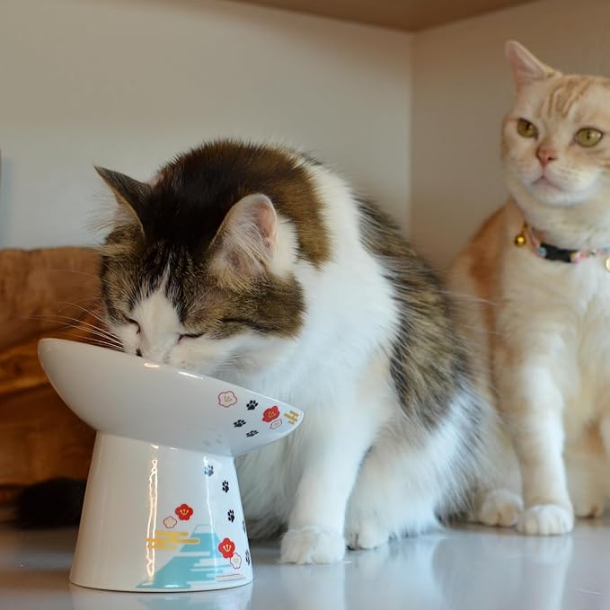 Necoichi Raised Cat Food Bowl – Ceramic Elevated 15° Tilted cat Bowl for Whisker & Neck Fatigue, Dishwasher & Microwave Safe, Non-Slip Anti-Vomiting Design (Fuji, Extra Wide Tilted, 1.5-Cups Capacity)