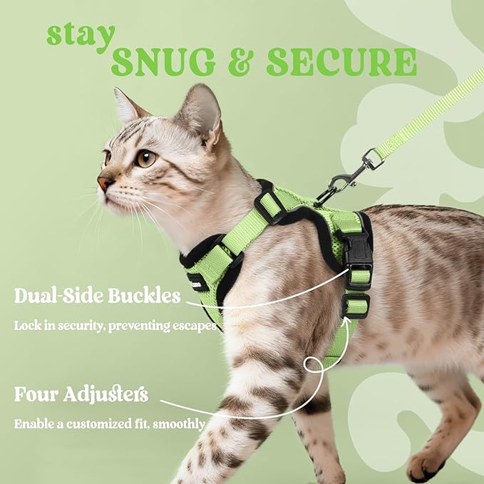 rabbitgoo Cat Harness and Leash for Walking, Escape Proof Soft Adjustable Vest Harnesses for Cats, Easy Control Breathable Reflective Strips Jacket, Light Green, XXS