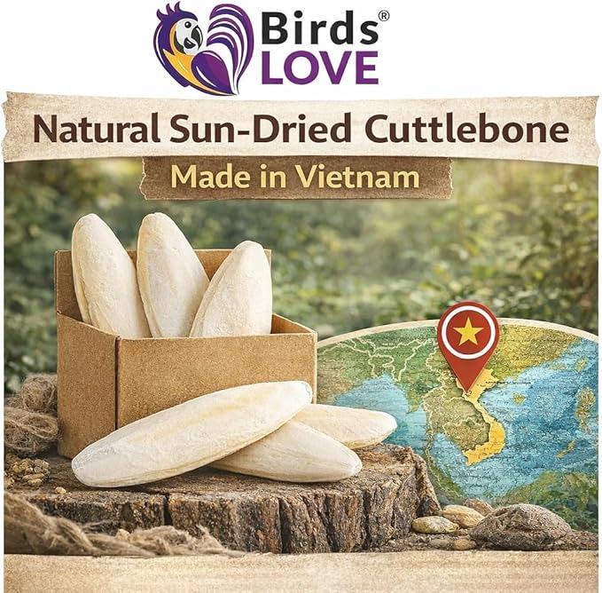 Farm to Feathers™ Bird Economy Millet & Cuttlebone Bundle – USA Grown Millet Sprays for Parakeets, Budgies, Cockatiels, Finches & Canaries – 9oz (Pack of 1) + 4” Cuttlebone (4 Pack)