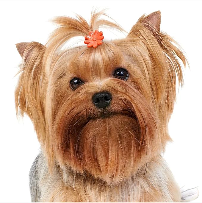 mix 100pcs Dog Hair Accessories Hair Clips for Small Doggie Colorful Cute Crown hair claw for Puppy Girls Pet Hair Grooming Dog Supplies