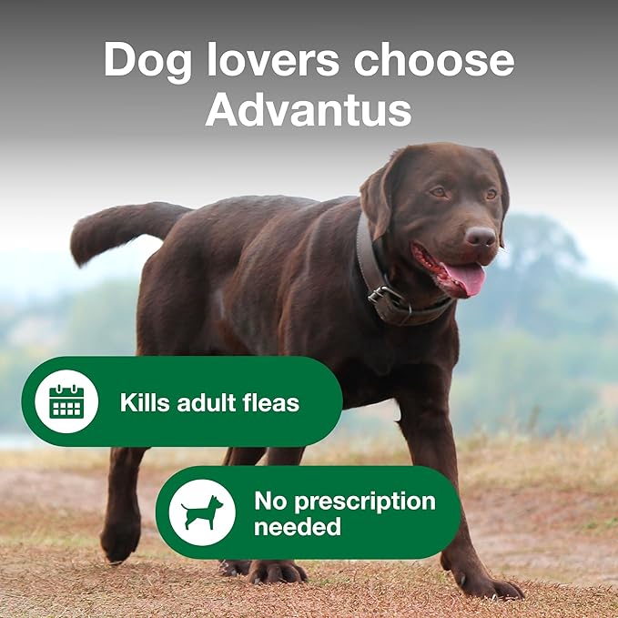 Advantus Dog Fast Acting Oral Flea Treatment Soft Chews Dogs 23 - 110 lbs. | 30 ct.