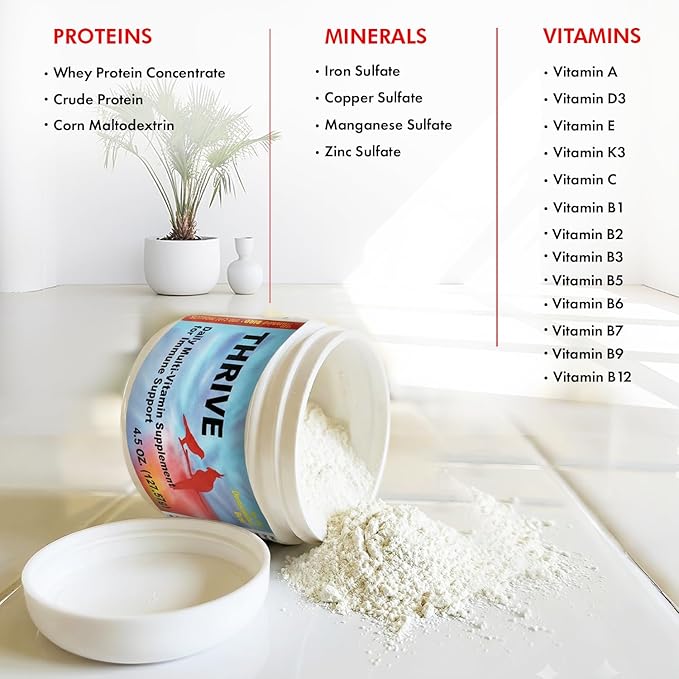 Morning Bird Thrive 2 oz – Daily Multi-Vitamin Bird Supplement for Immune & Recovery Support – Ideal for Sick, Injured, or Recovering Birds – Energy & Wellness Formula for Adult Birds