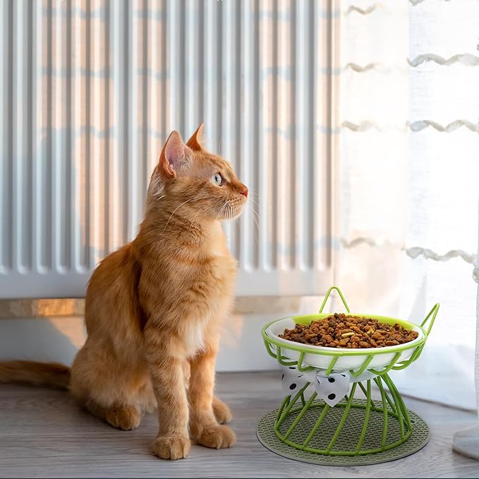 4 Pcs Elevated Pet Food Bowls, Ceramic Cat Plate with Stand Raised Cat Bowl for Indoor Pet, Food and Water Dishes Puppies, with Non-Slip Mat, Whisker Friendly, Dishwasher Safe