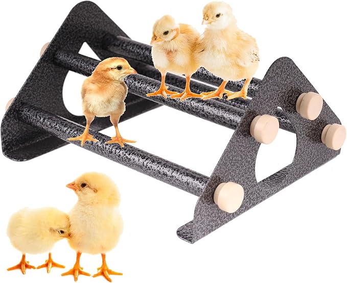 Baby Chick Perch, Durable Metal Stand with Wooden Roosting Bar for coop and brooder, Training Chicken Perch Easy to Assemble and Clean, Fun Toys for Chick (Carbon Coating, Metal Bars)