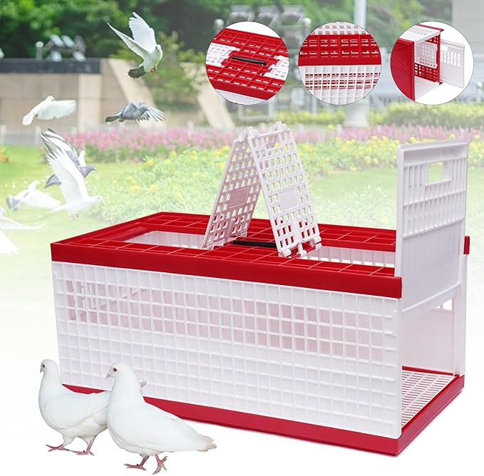 Racing Pigeon Carrier Box Bird Training Basket with 2 Side Doors 2 Top Doors Box