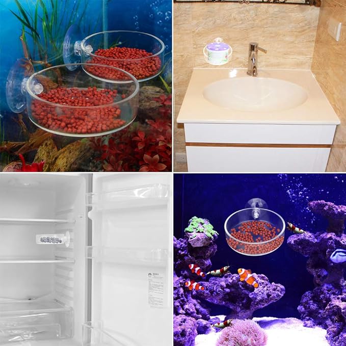 Senzeal 2PCS Shrimp Feeding Dish Glass Aquarium Fish Tank Reptiles Round Feeder Bowl with Suction Cup