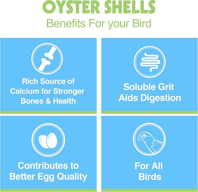 Hari Oyster Shells, 15.5 Ounces (Pack of 2)