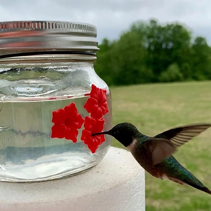 Hanging Bird Feeder for Wild Birds Flower Outlet Feeder Outside Water Bottle Birds Watering Supplies Feeders for Outdoors Feeders for Outdoors Metal