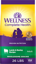 Wellness Complete Health Adult Dry Dog Food, Wholesome Grain Kibble, Natural, Lamb and Barley Recipe, 26 lb Bag