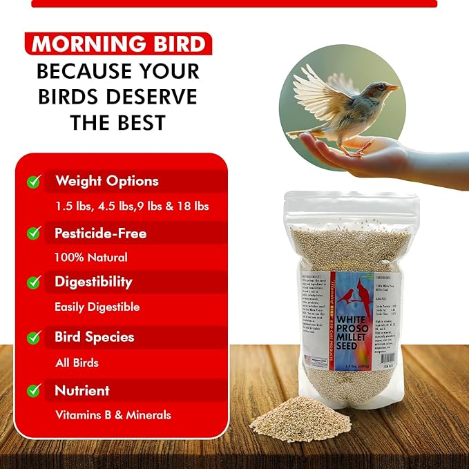 Morning Bird White Proso Millet 1.5 lbs – Natural Bird Seed – Supports Feather Growth & Balanced Nutrition – High Energy Delicious Seed - Ideal for Finches, Parakeets & Pet Birds