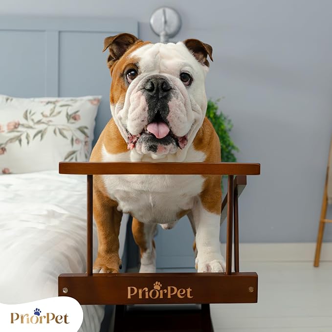 Dog ramp for Bed - PRIORPET Birchwood Adjustable Ramp for Dogs to Get on Bed: Dog ramps for High Beds up to 37 Inches – Foldable Ramp, Anti-Slip Grip & Safety Rails, Small Dogs Up to 120lbs – Walnut