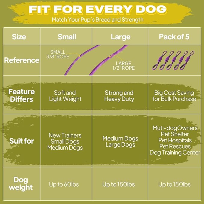 Fida Durable Slip Lead Dog Leash Bulk Pack of 5, Heavy Duty 1/2" x 6 FT Comfortable Strong Rope Slip Lead for Large, Medium Dogs No Pull Pet Training Leash with Highly Reflective, Purple