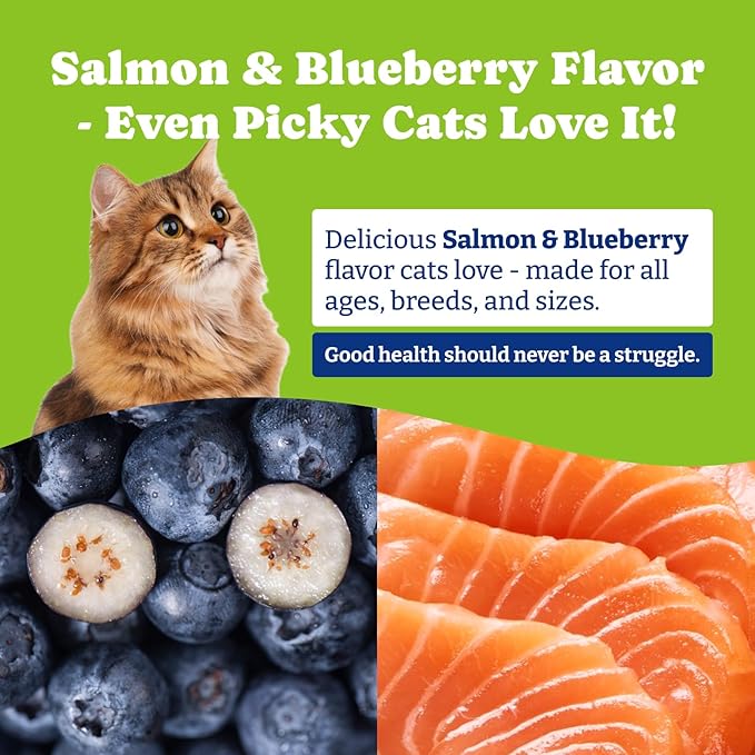Flea and Tick Prevention for Cats - 200 Soft Chews Natural Cat Flea Treatment, Salmon & Blueberry Flavor - Flea Treatment for Cats, Cat Oral Flea, Immune Support Supplement (200 Chews)