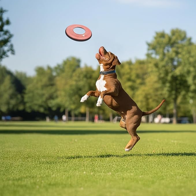 OllyDog Mini Super Flyer Dog Frisbee Toy, 9" – Durable, Lightweight & Water-Resistant Flying Disc – Soft on Teeth & Gums – Floats on Water – Outdoor Fetch Toy for Medium & Large Dogs (Desert)