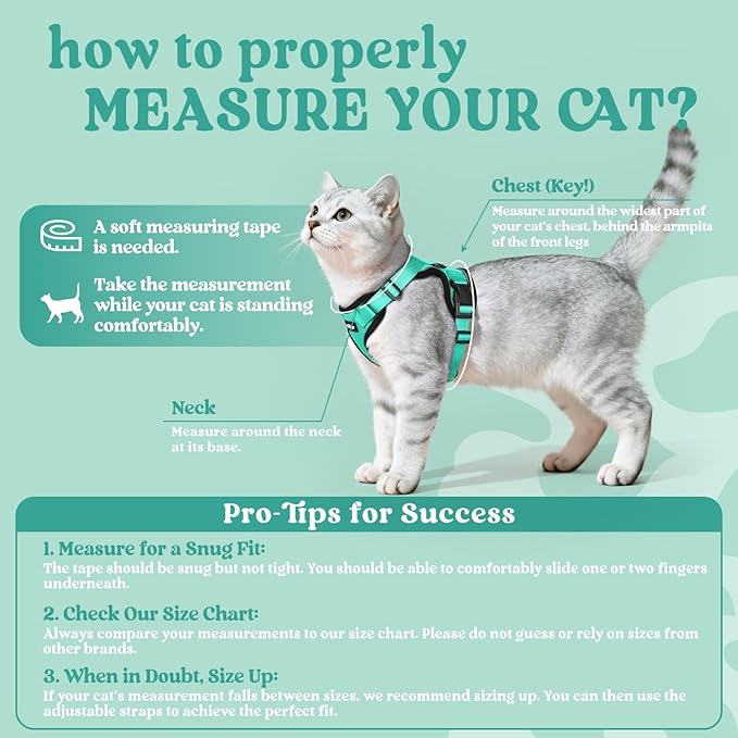 rabbitgoo Cat Harness and Leash for Walking, Escape Proof Soft Adjustable Vest Harnesses for Cats, Easy Control Breathable Reflective Strips Jacket, Emerald, XXS
