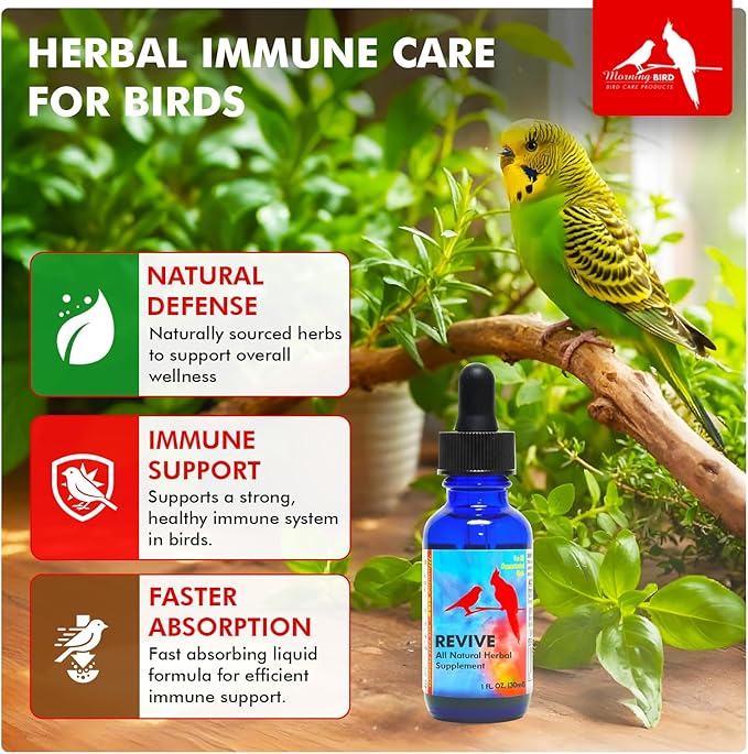 Morning Bird Revive 1 Fl oz – Herbal Extract Blend for Immune Support for Birds - Improved Liquid Formula for Optimum Immune Defense & Faster Absorption - Enhanced Digestive Health, Energy & Wellness