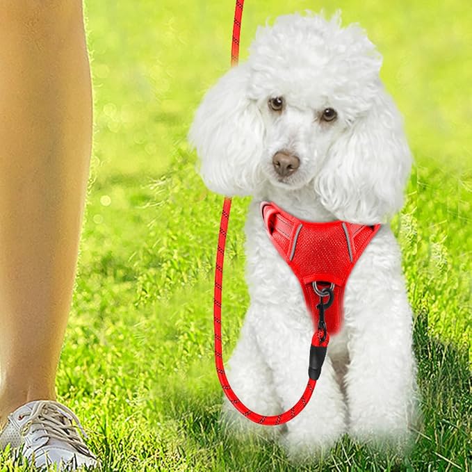 BARKBAY Dog Harness No Pull with ID Tag Pocket - Heavy Duty, Reflective, Easy Control for Large Dogs(Red,XS)