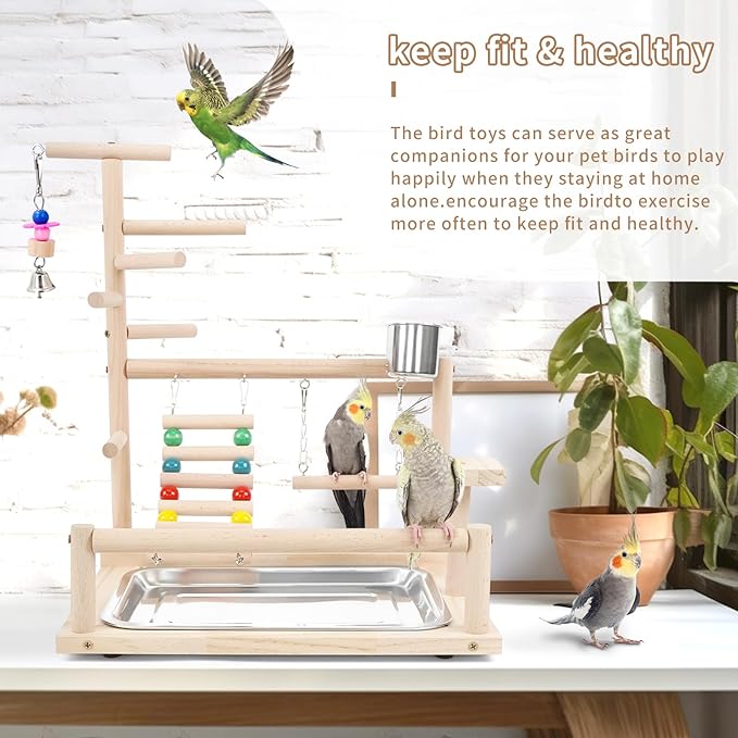 Bird Playstand Cockatiels Playground Perch Stand Parrot Play Gym for Parakeets Conures Parrotlets and Finches, Easy Assembly Includes Colorful Toys and Perch 1Ladder with Platform