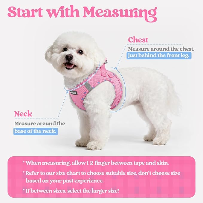 rabbitgoo Dog Harness Small Sized and Leash Set, Step in Soft Light Puppy Vest, Breathable Mesh Pet Harness, Reflective for Safe Easy Walking, Pink & Plaid Trim M