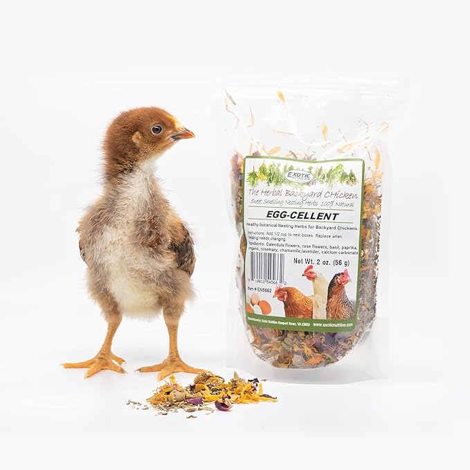 Exotic Nutrition Egg-Cellent (6oz) - Healthy All-Natural Chicken Nesting Herbs - Natural Flowers, Herbs & Calcium Carbonate - Promotes Healthy Chickens & Eggs (6 oz)