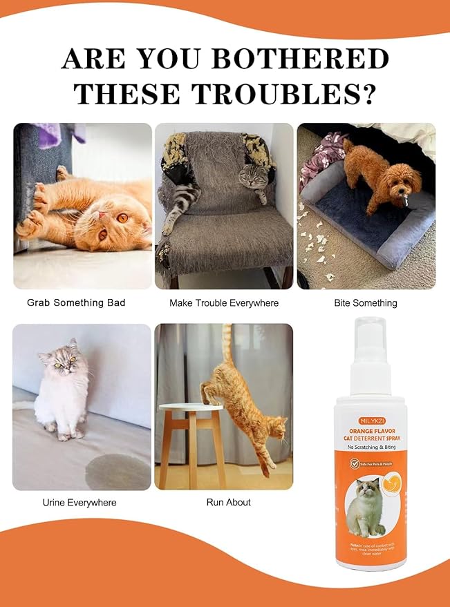 Cat Deterrent Spray - Safe for Indoor & Outdoor, Cat Scratch Deterrent for Furniture Protection, Sofas, Rugs, Curtain - Cats Behavior Training Prevent Urine Marking, with Natural Ingredients 2*100ml