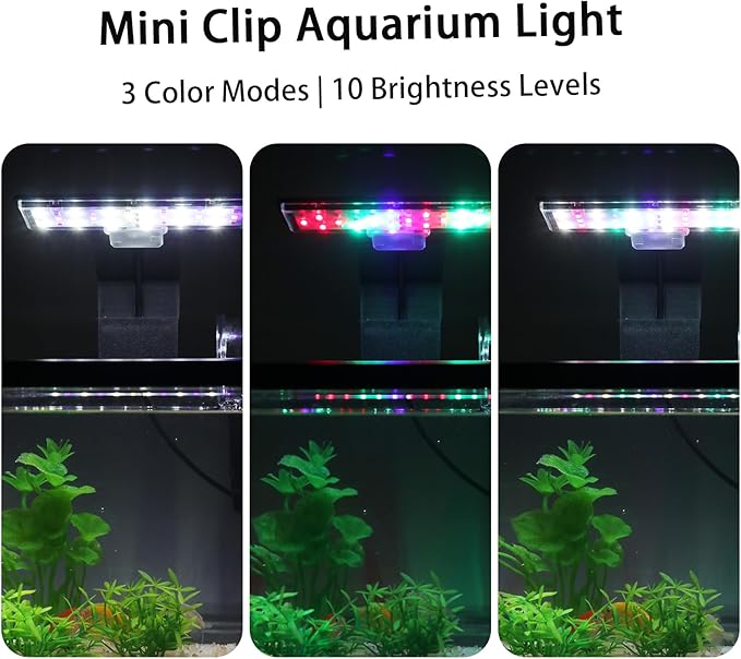 2 Gallon Aquarium Starter Kit with LED Light & Quiet Filter, Complete Small Fish Tank for Betta, Mini Desktop Acrylic Tank, Ideal for Shrimp Guppy Jellyfish Goldfish Beta, Office, Home, or Gift