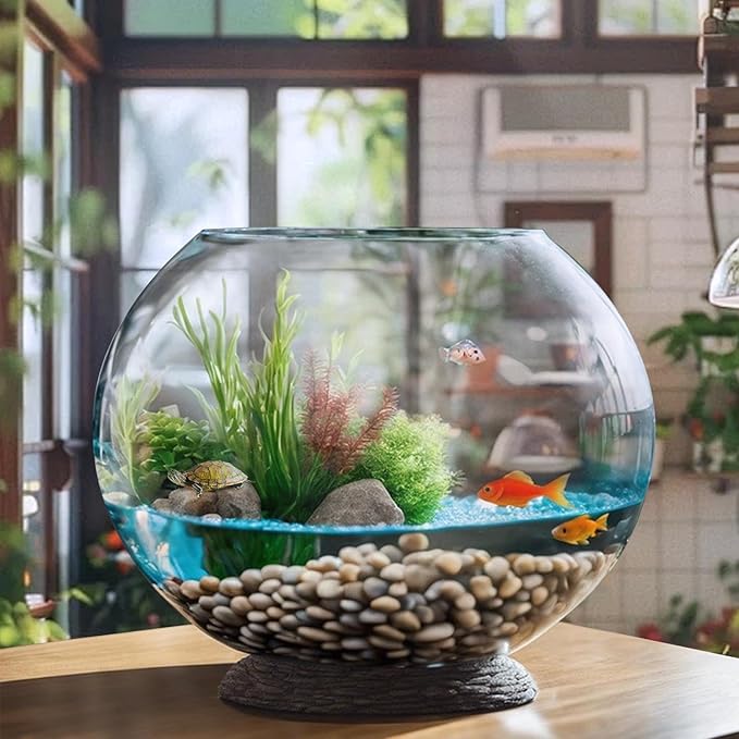 MANON ROSA Turtle Bowls Round Ecological Tank Container Clear Aquarium Habitat Small Desktop Home for Hydroponic Plants Fish Starter Choice (L(9.8" D))