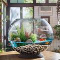 MANON ROSA Turtle Bowls Round Ecological Tank Container Clear Aquarium Habitat Small Desktop Home for Hydroponic Plants Fish Starter Choice (L(9.8" D))