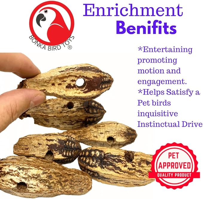 Bonka Bird Toys 3410 Pk6 Drilled Mahogany Pods Foot Talon Craft Part Parrot Toys, Amazon, African Greys, Eclectus, and Similar Breeds