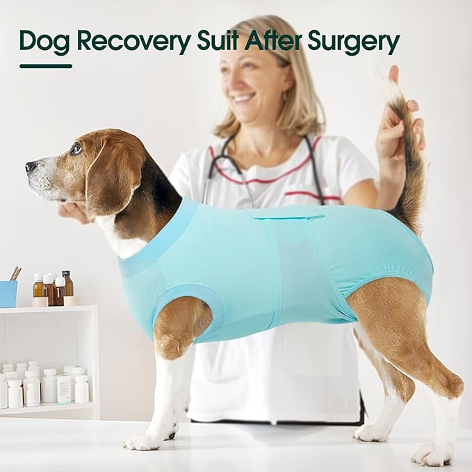 Kuoser Dog Recovery Suit for Dogs After Surgery, Soft Dog Surgical Onesie for Female Male Dogs Spay Neuter, Anti-Licking Pet Bodysuit for Abdominal Wounds, Skin Disease, E-Collar Alternative, Blue 2XL