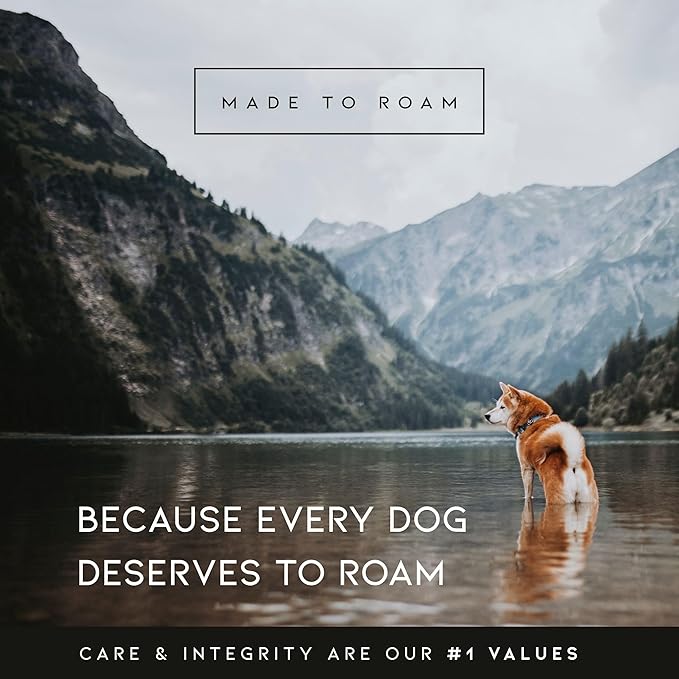 MADE TO ROAM Premium Explorer Harness - Y-Shaped Dog Harness with Adjustable Durable Nylon, Soft Padding, Metal Buckles and Leather Handle for Small, Medium, Large Dogs (Vermont Weekends, Size 1)