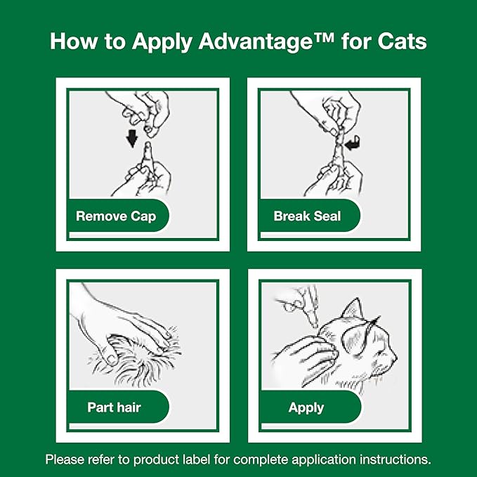 Advantage Topical Cat Flea Treatment and Prevention for Large Cats Over 9 lbs. | Apply Flea Drops Monthly | 2 Treatments,(Pack of 3)