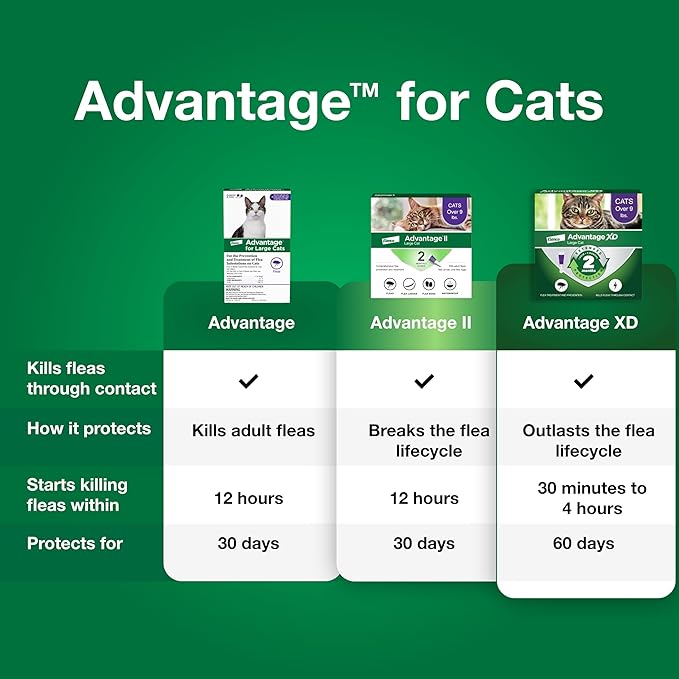 Advantage Topical Cat Flea Treatment and Prevention for Large Cats Over 9 lbs. | Apply Flea Drops Monthly | 2 Treatments,(Pack of 3)