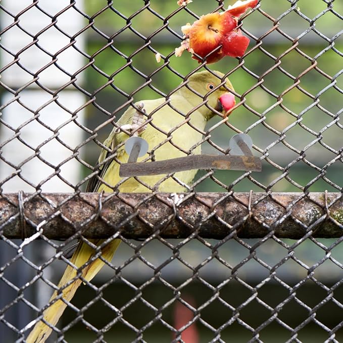 POPETPOP Parrot Perch Stand with U Shape Food Bowl Holder Wooden Bird Cage Accessory Durable Bird Feeding Station for Cage Birds and Parrots