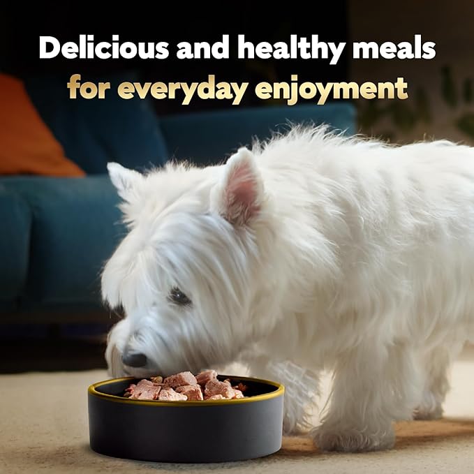 Cesar Wet Dog Food Steak and Chicken Lovers Variety Pack,Adult,Wet Food for Dogs with Real Beef or Chicken,3.5 oz Easy Peel Trays,36 Count (Pack of 2)