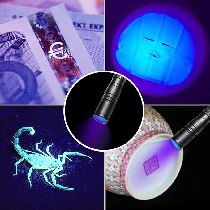 395nm UV Flashlight, Zoomable Blacklight with 2xAAA Battery Ultraviolet Flashlight Pet Urine Detector for Cat Dog Stains, Bed Bug, Household Toilet