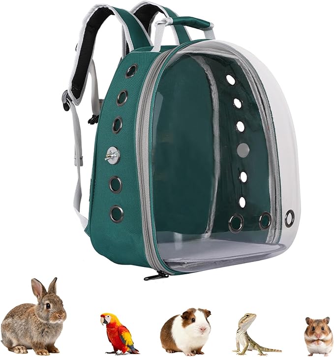 Transparent Parrot Backpack,12 Holes Ventilate Space Capsule Carrier,Stick Wooden Standing Perch,Portable Double Shoulder Outdoor Pet Backpack Carrier for Birds and Pets (Green,Without Stick)